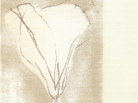 Пьеро Бежевый